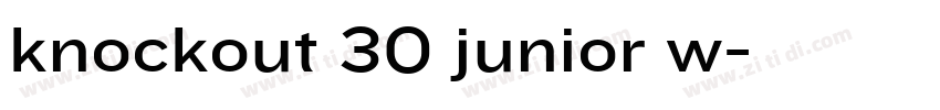 knockout 30 junior w字体转换